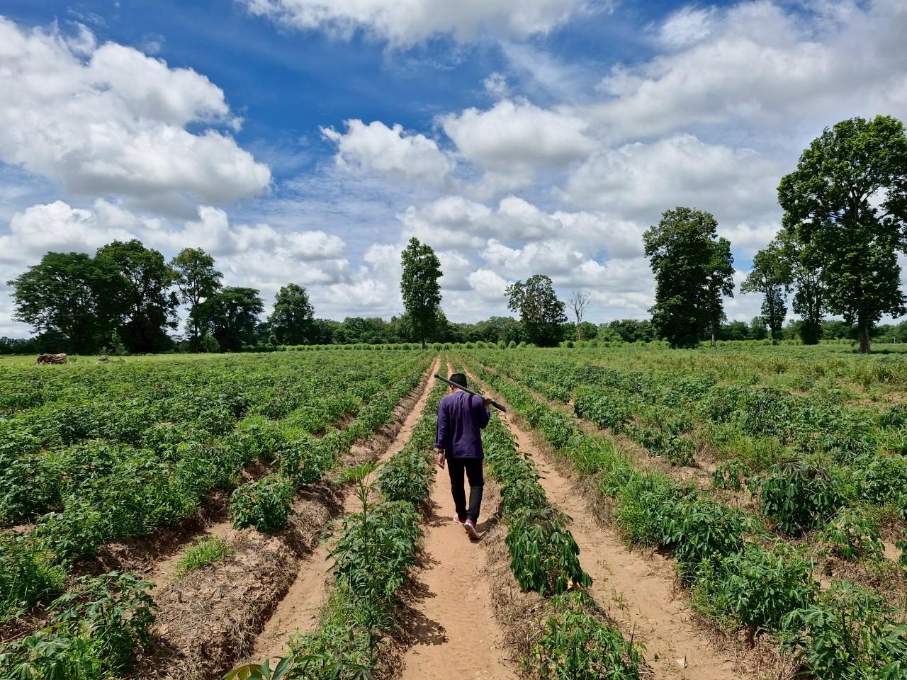 ภาพประกอบที่ 14