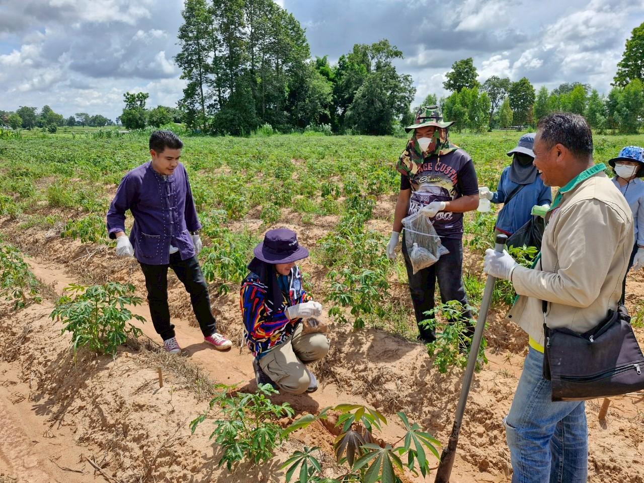 ภาพประกอบที่ 15