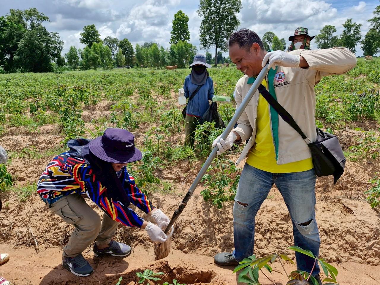 ภาพประกอบที่ 16