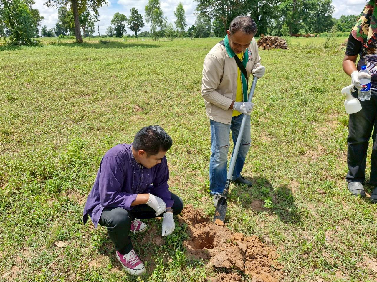 ภาพประกอบที่ 17