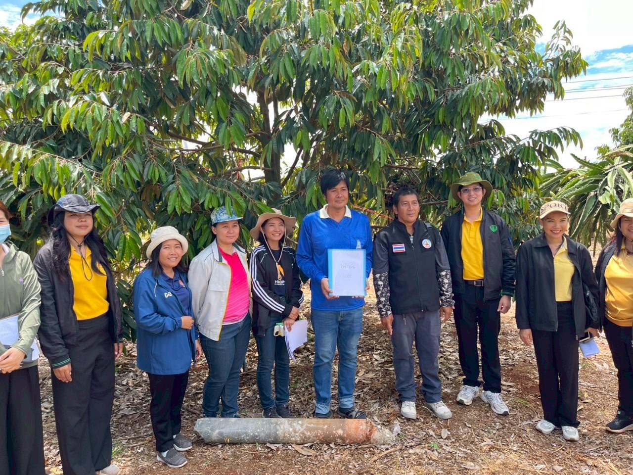 ภาพประกอบที่ 1