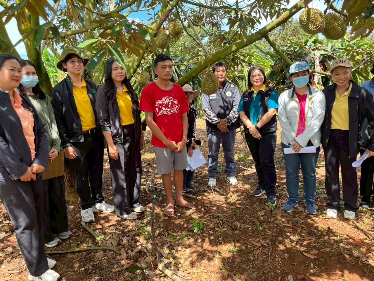 ภาพประกอบที่ 3