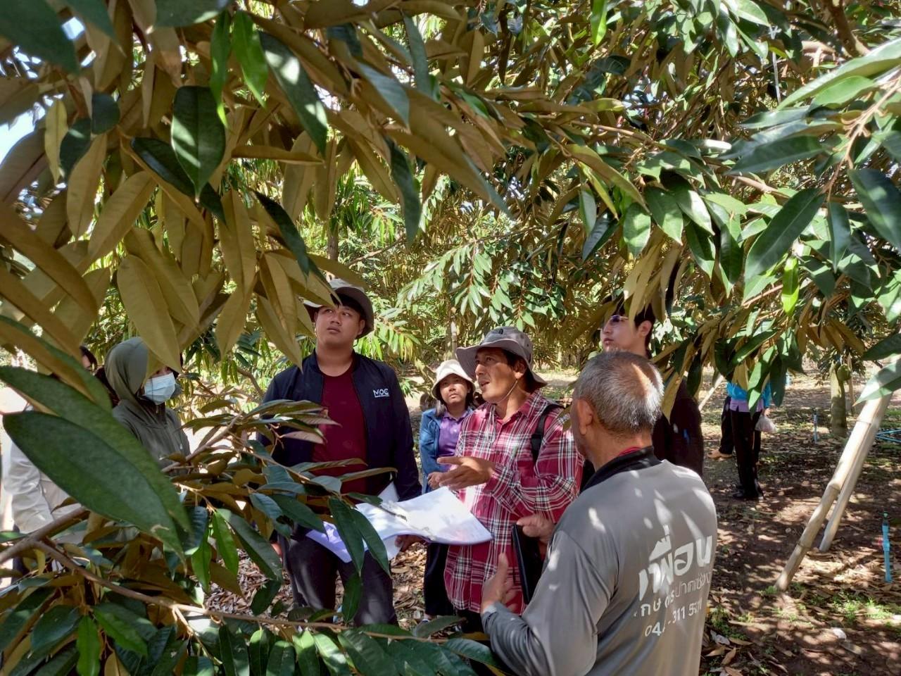ภาพประกอบที่ 0