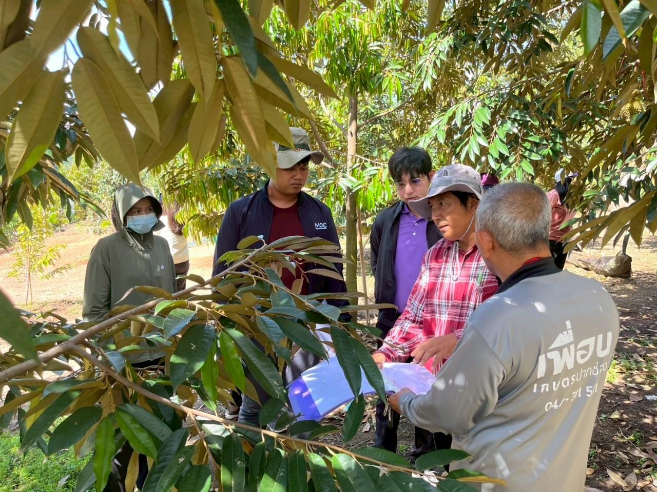 ภาพประกอบที่ 1