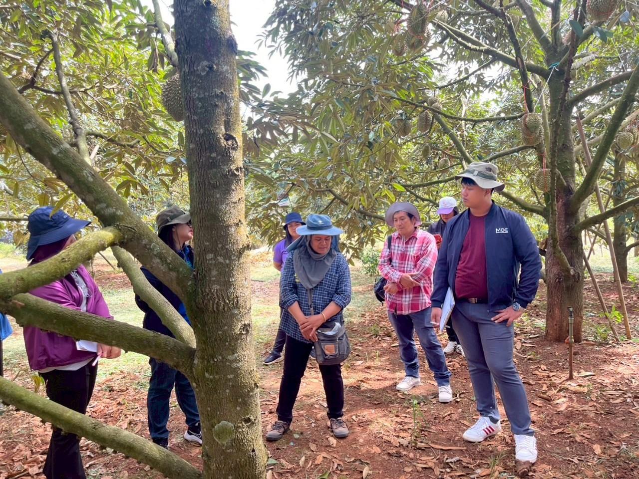 ภาพประกอบที่ 2