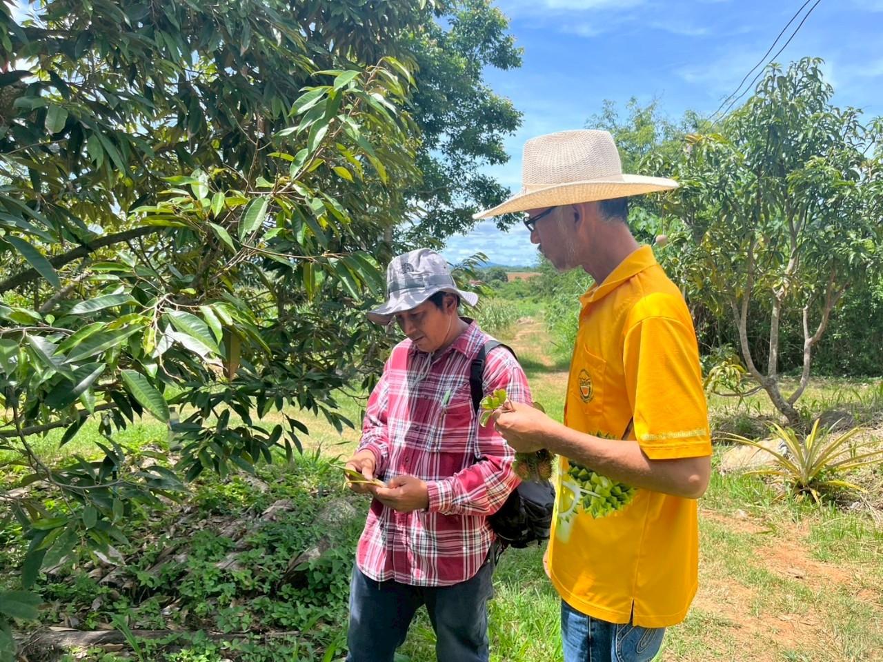 ภาพประกอบที่ 3