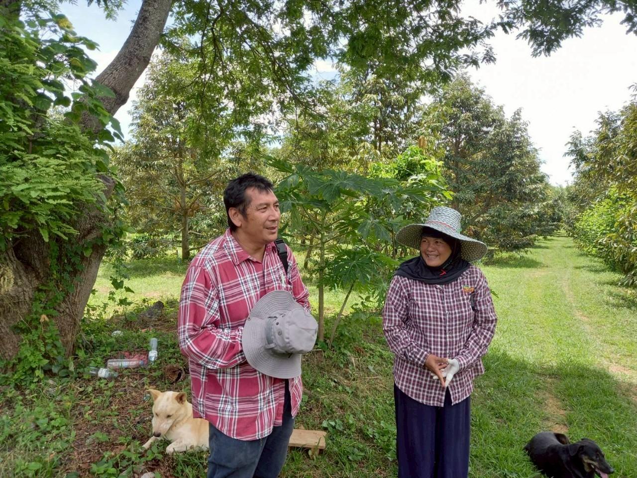 ภาพประกอบที่ 4