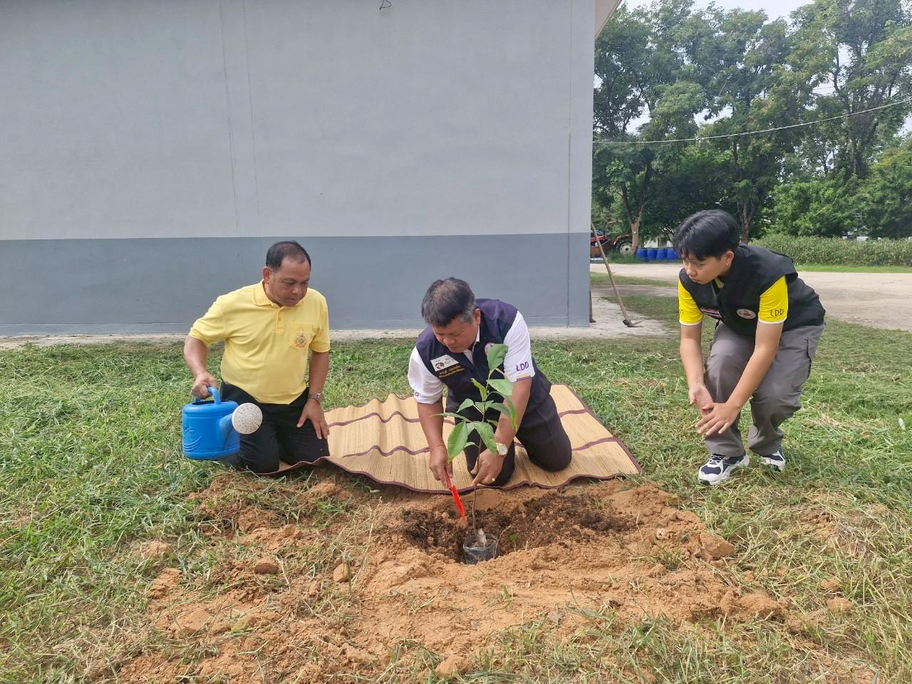 ภาพประกอบที่ 1