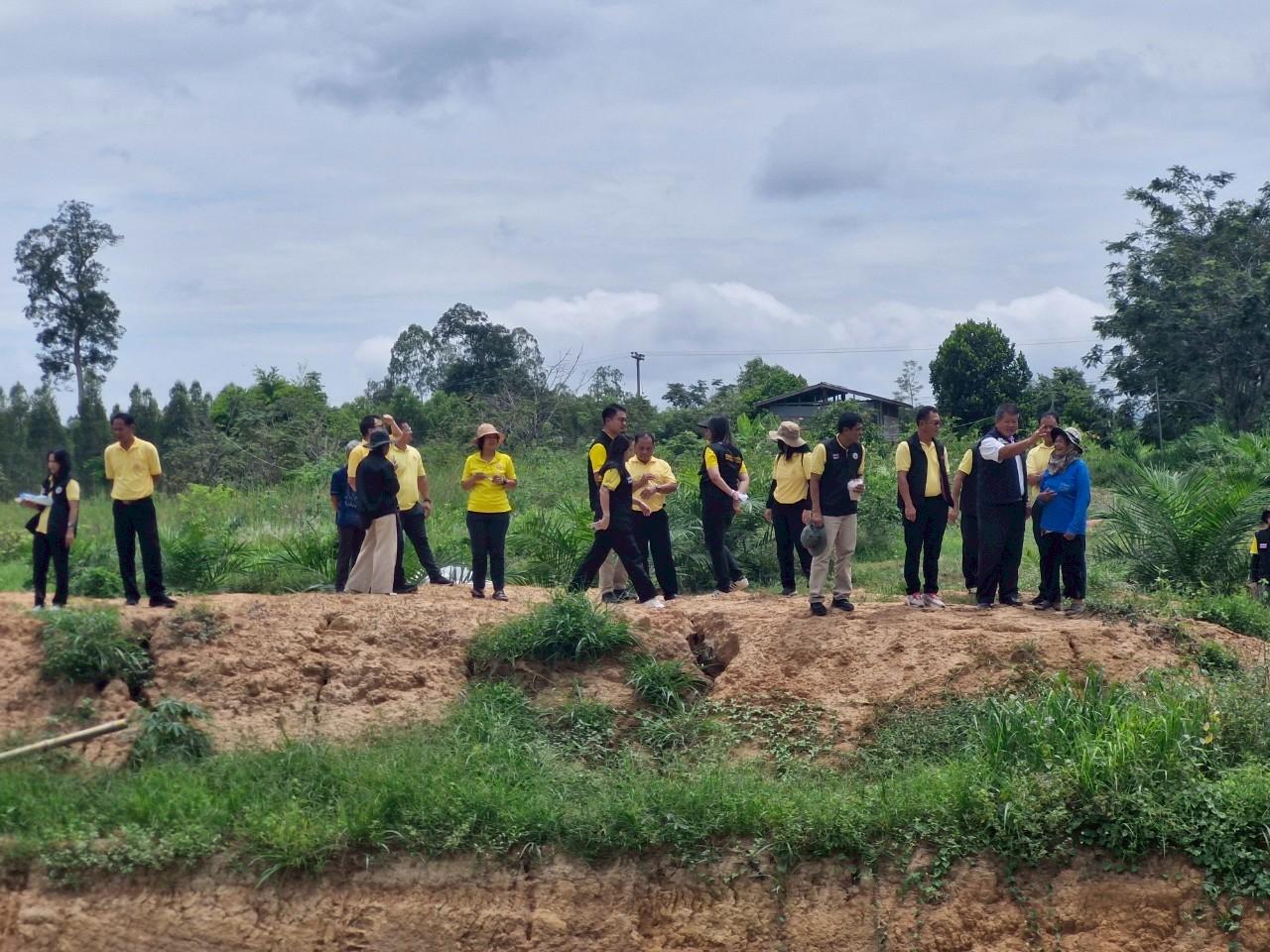 ภาพประกอบที่ 5