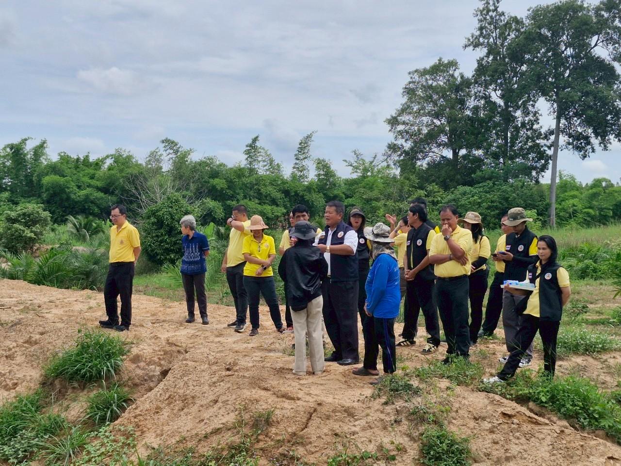 ภาพประกอบที่ 8