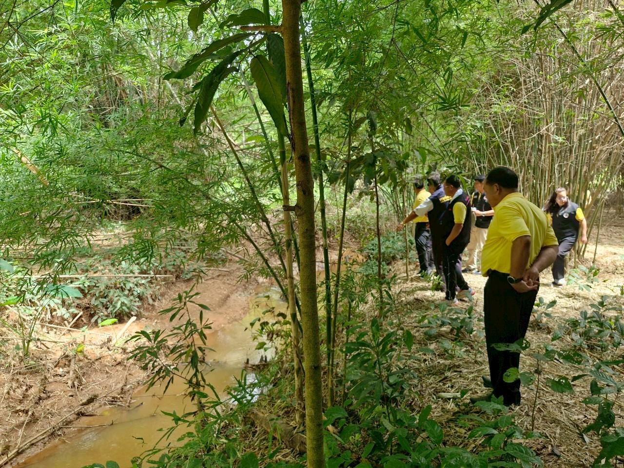 ภาพประกอบที่ 11