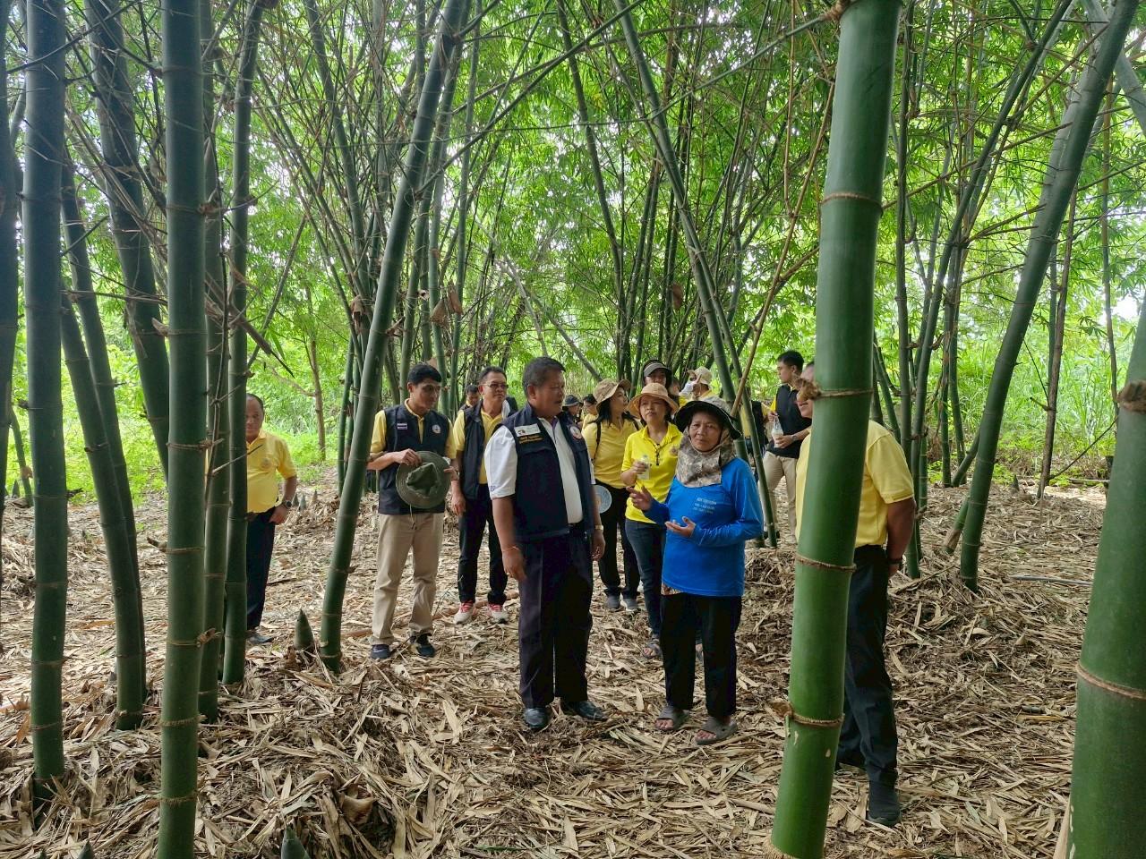 ภาพประกอบที่ 12