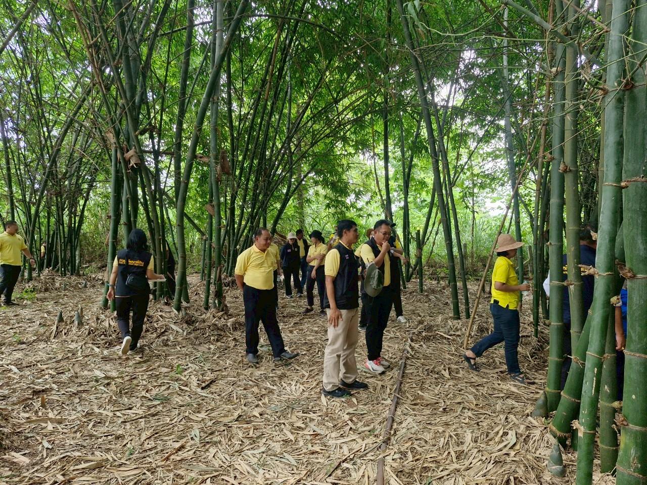 ภาพประกอบที่ 13