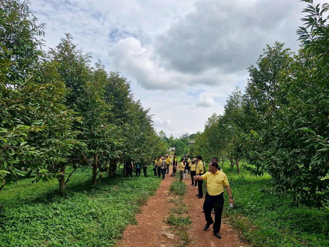 ภาพประกอบที่ 14