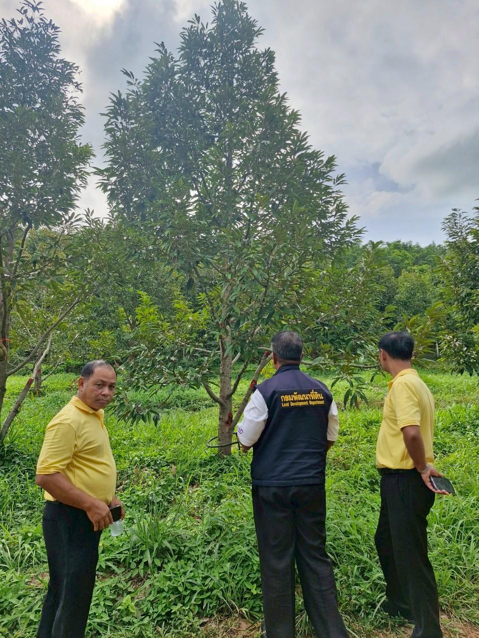 ภาพประกอบที่ 16