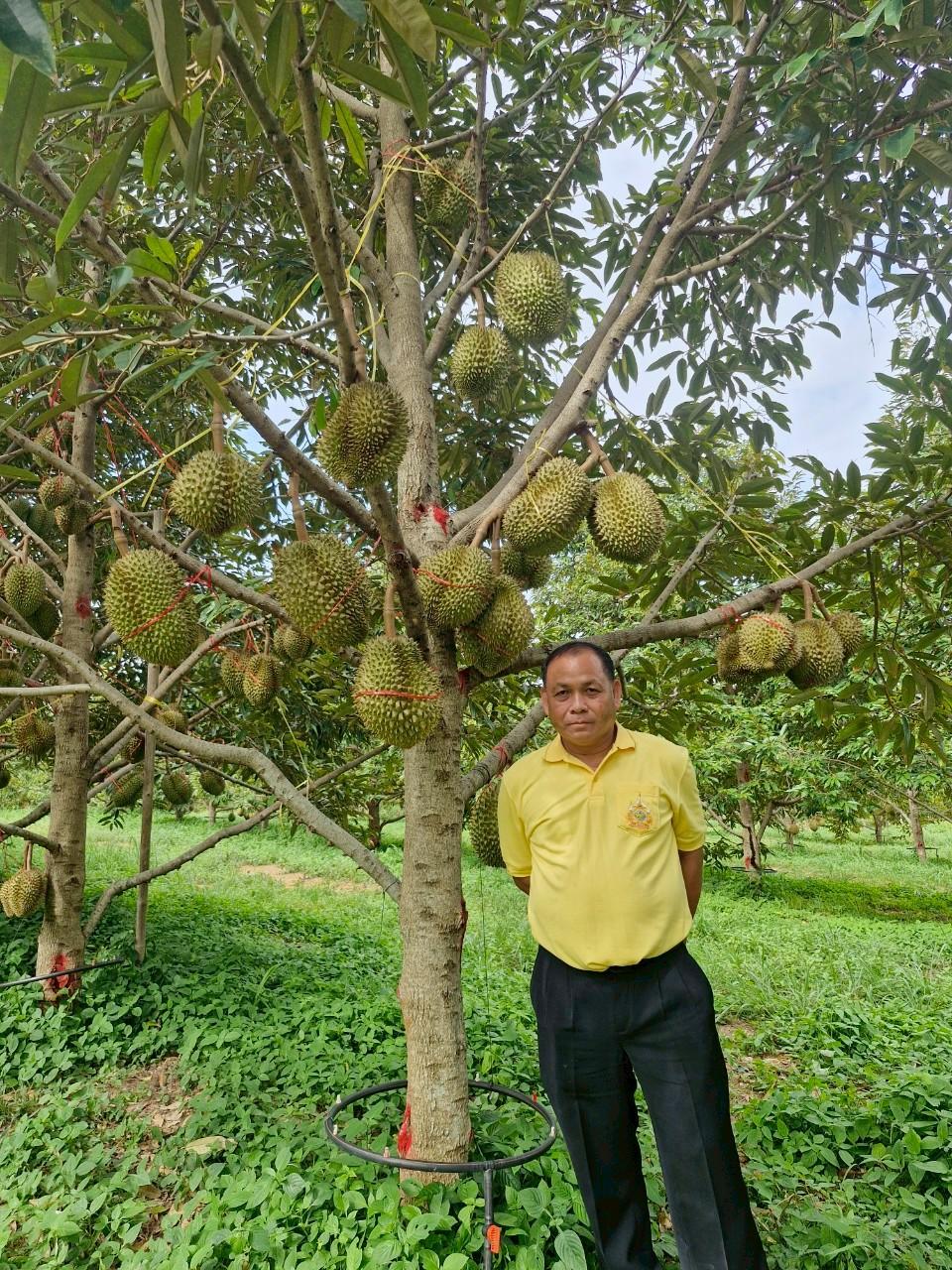 ภาพประกอบที่ 17