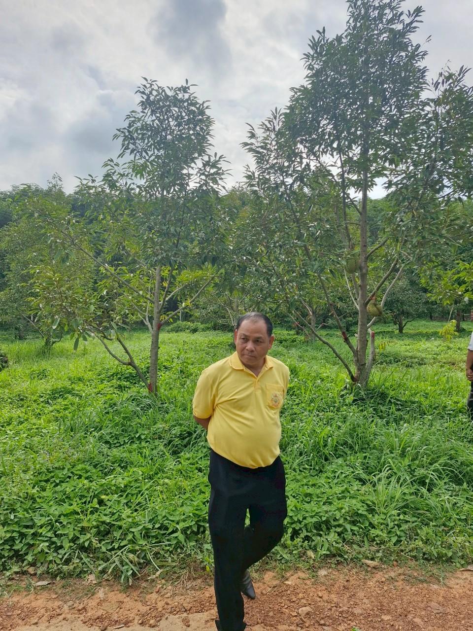 ภาพประกอบที่ 18