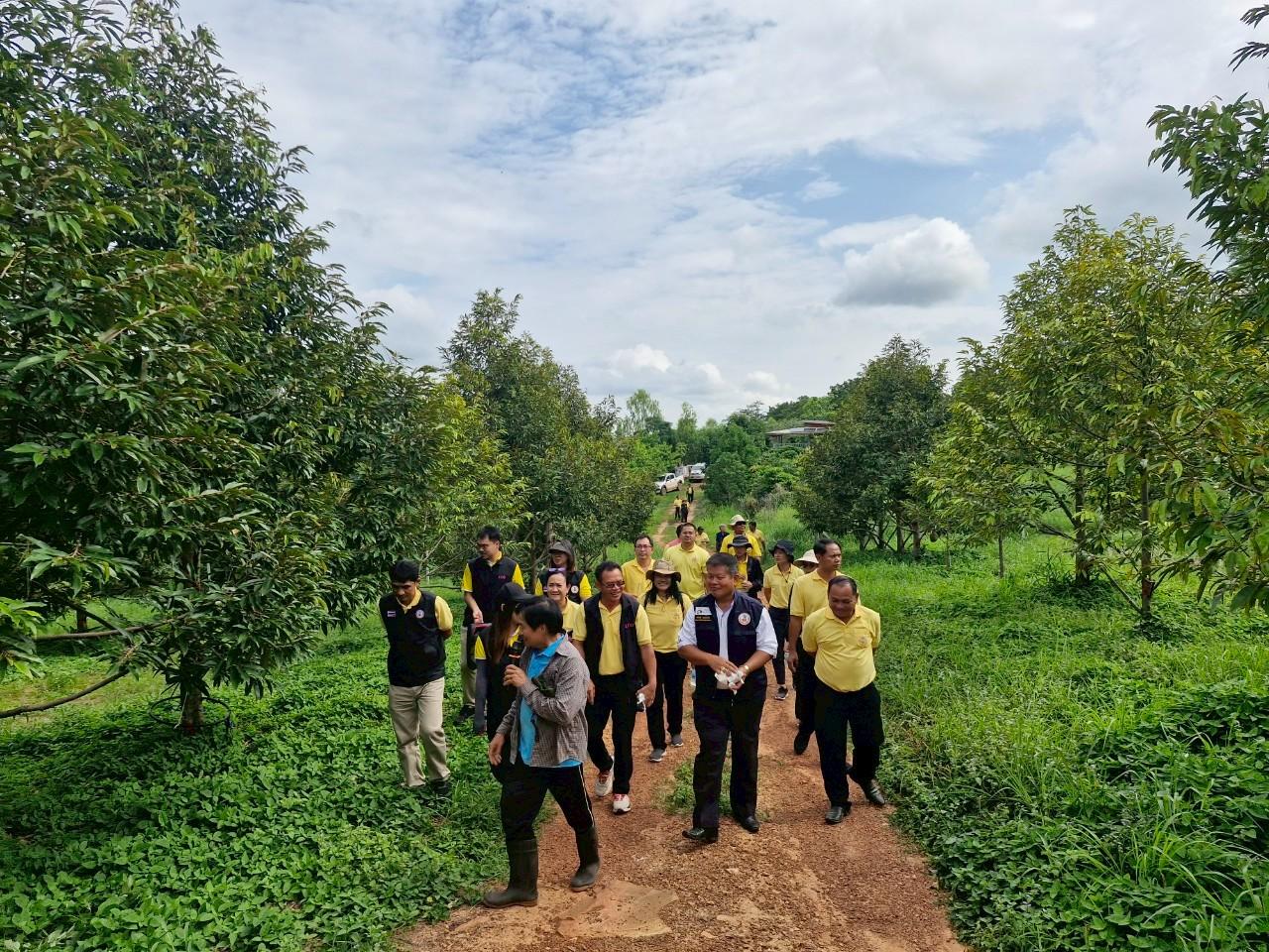 ภาพประกอบที่ 20