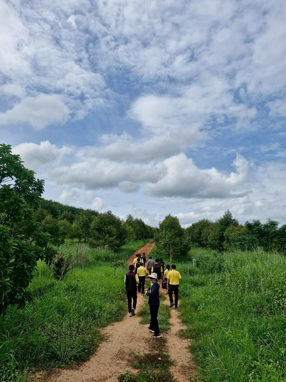 ภาพประกอบที่ 23