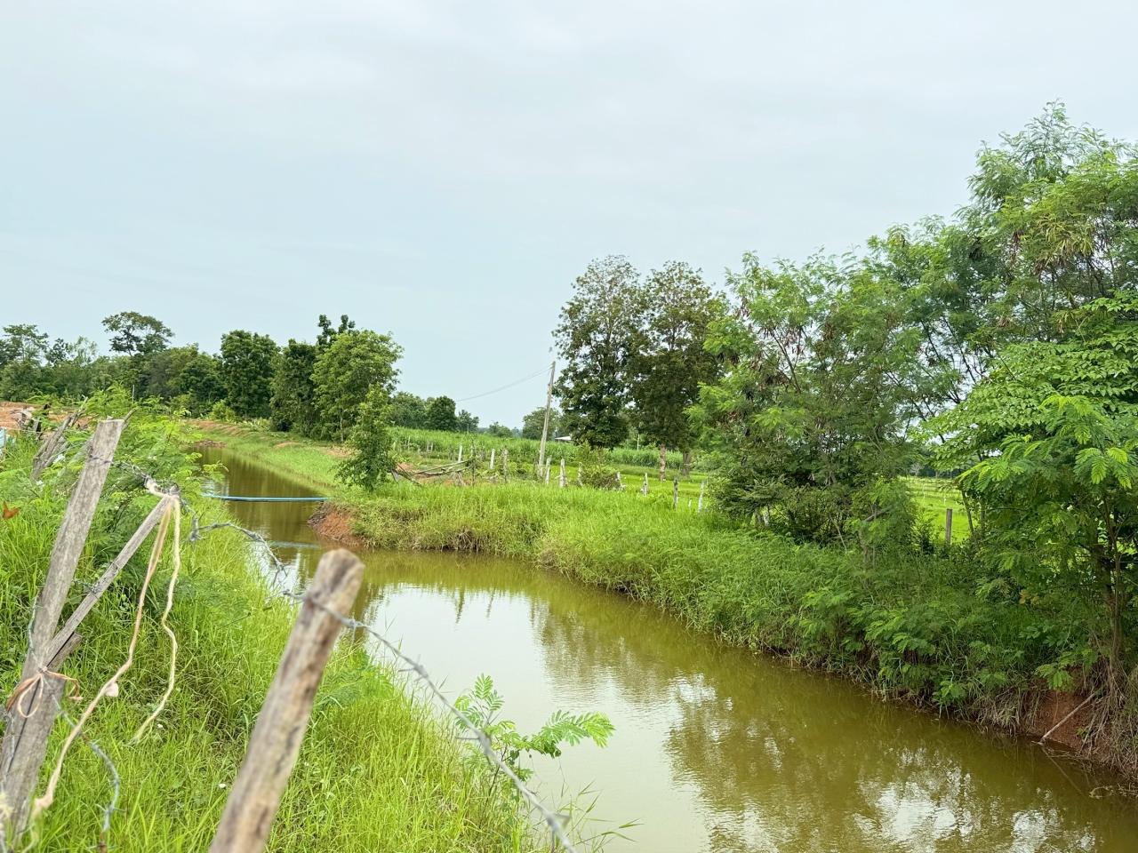 ภาพประกอบที่ 41