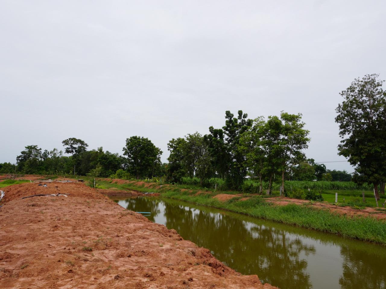 ภาพประกอบที่ 29