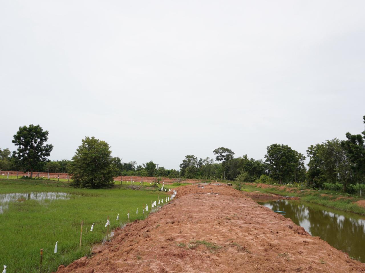 ภาพประกอบที่ 30