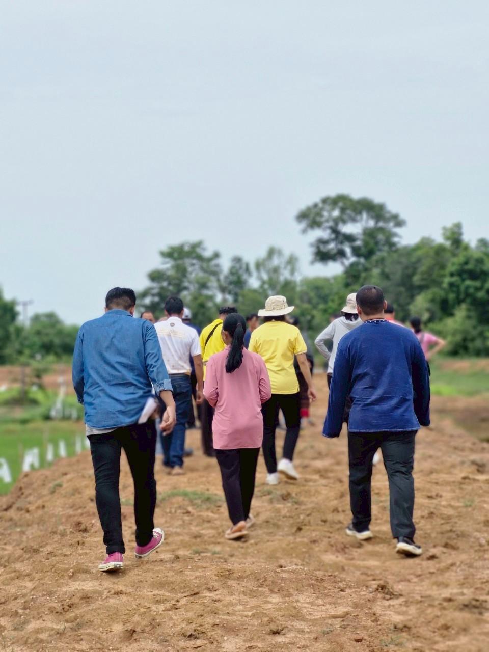 ภาพประกอบที่ 33