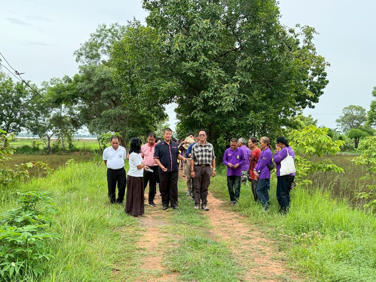 ภาพประกอบที่ 1