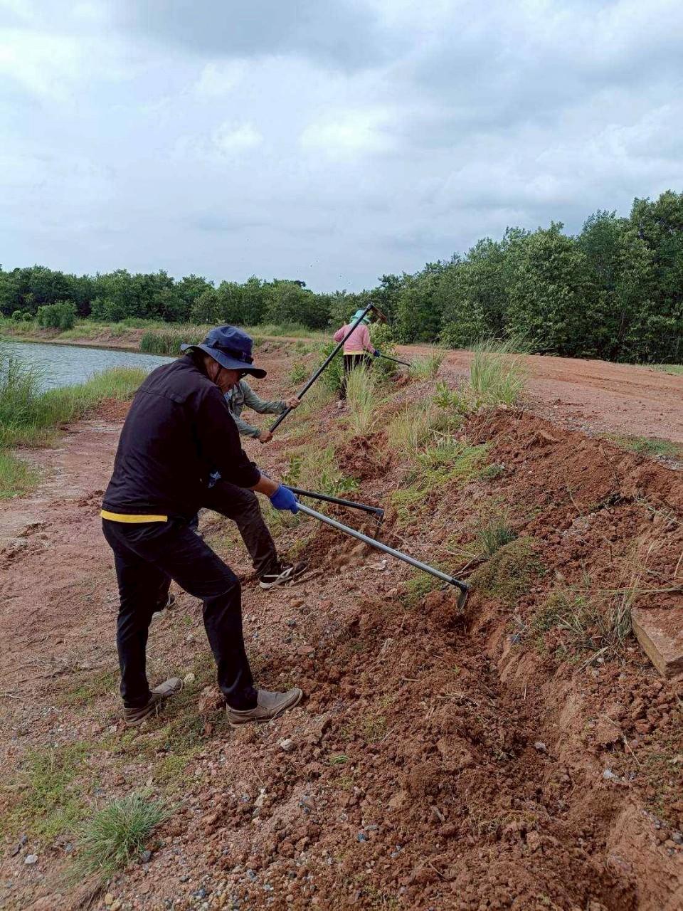 ภาพประกอบที่ 3