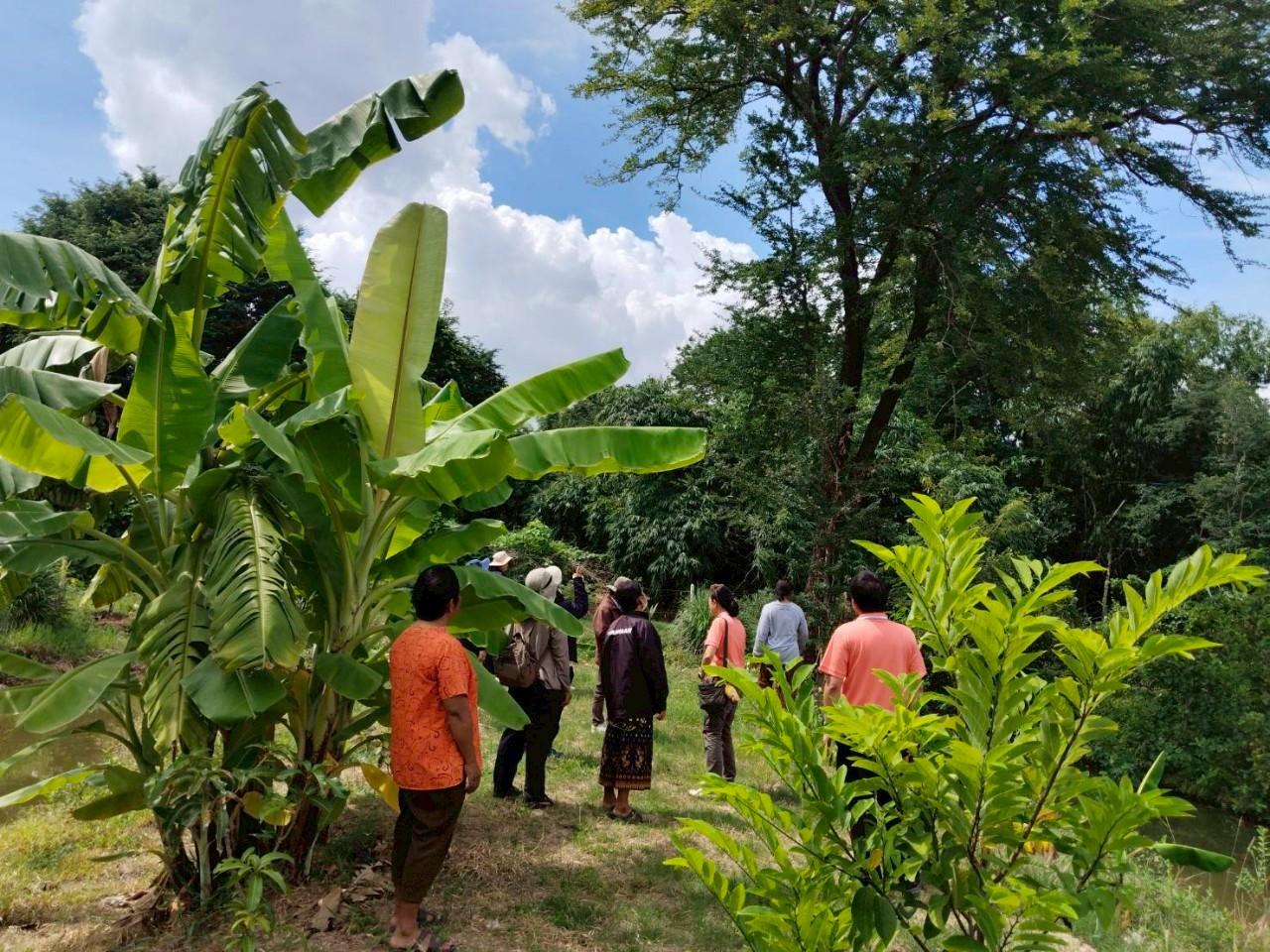 ภาพประกอบที่ 3