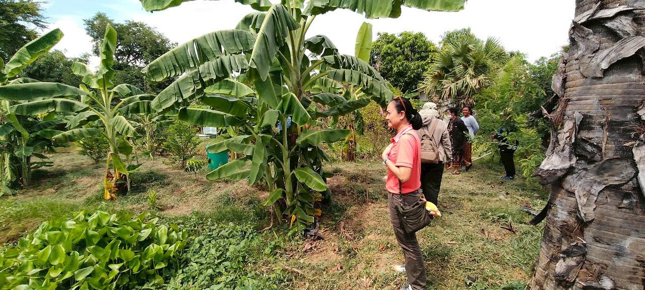 ภาพประกอบที่ 6