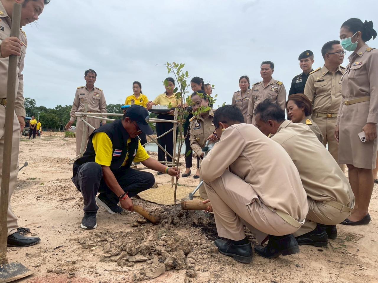 ภาพประกอบที่ 7