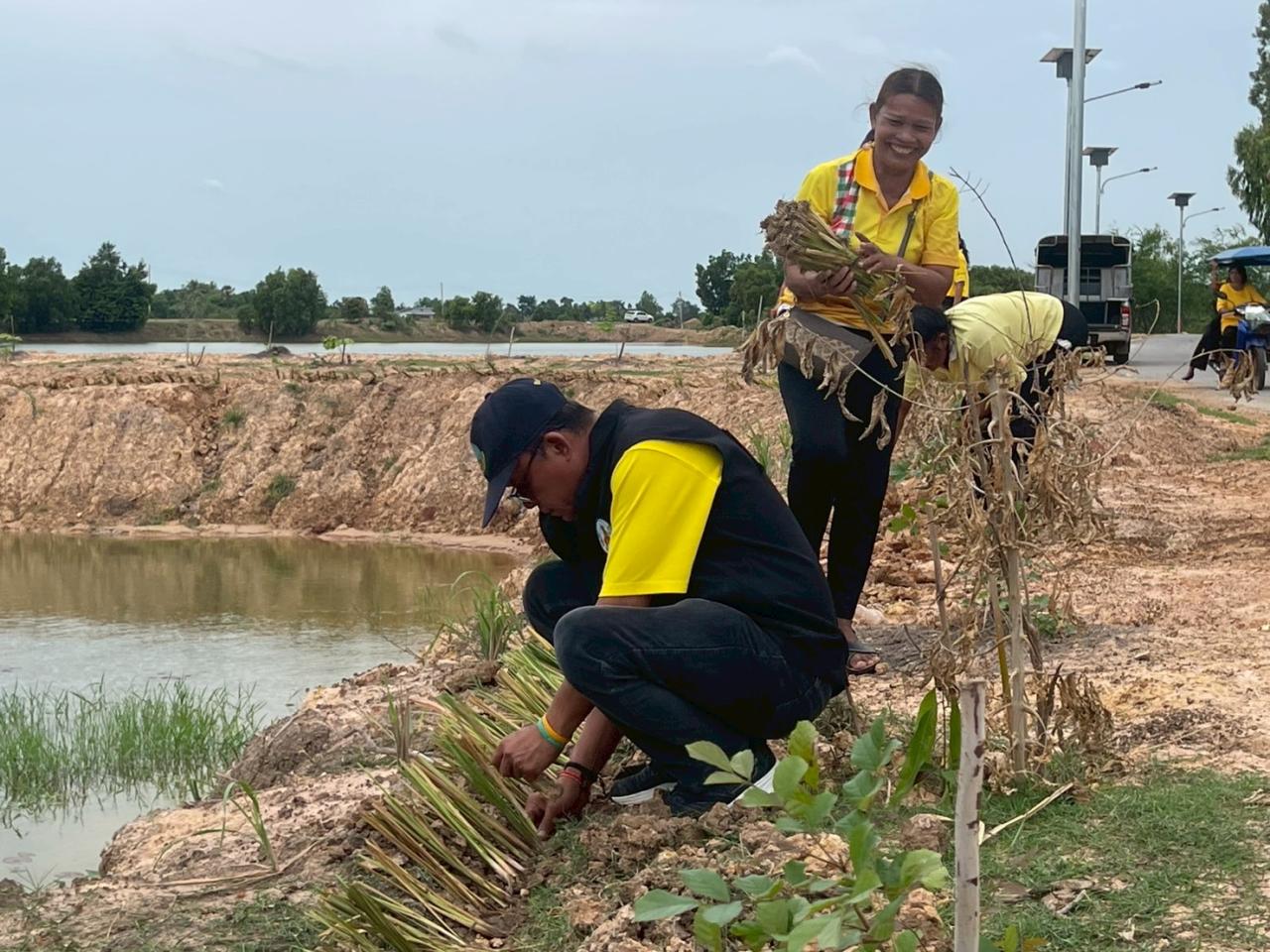ภาพประกอบที่ 11
