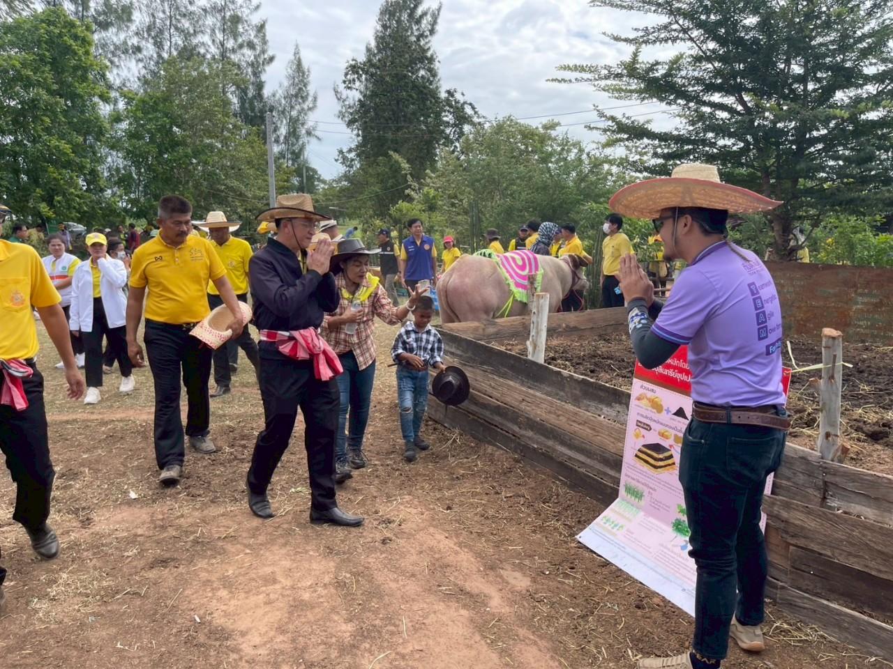 ภาพประกอบที่ 2