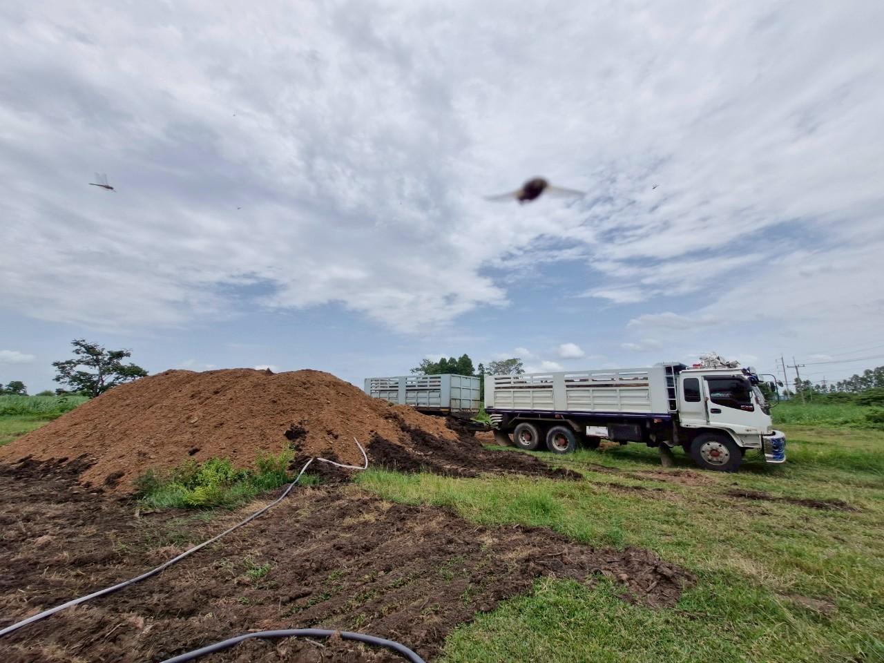 ภาพประกอบที่ 12