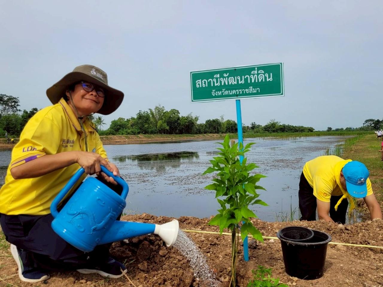 ภาพประกอบที่ 8