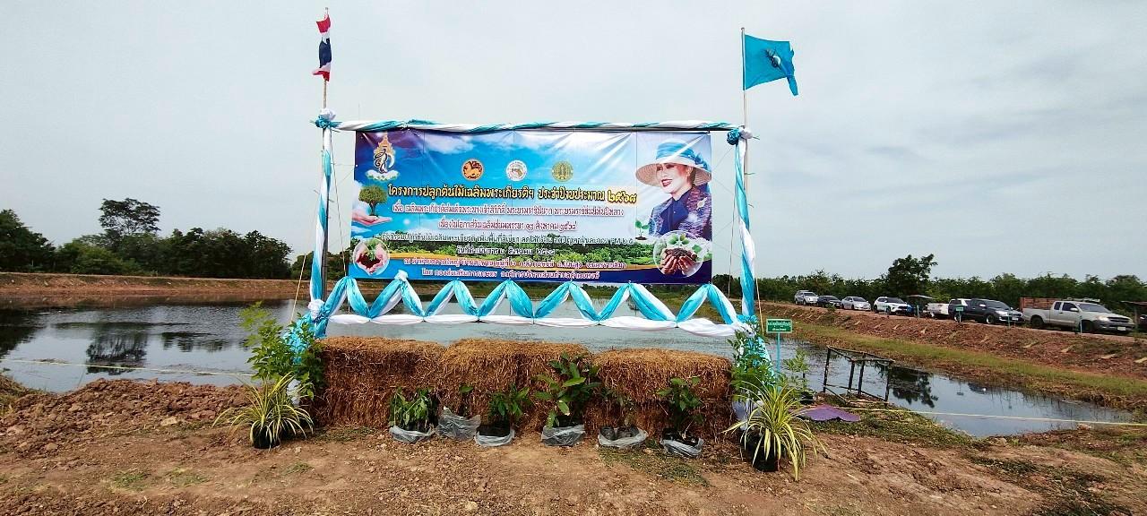 ภาพประกอบที่ 11