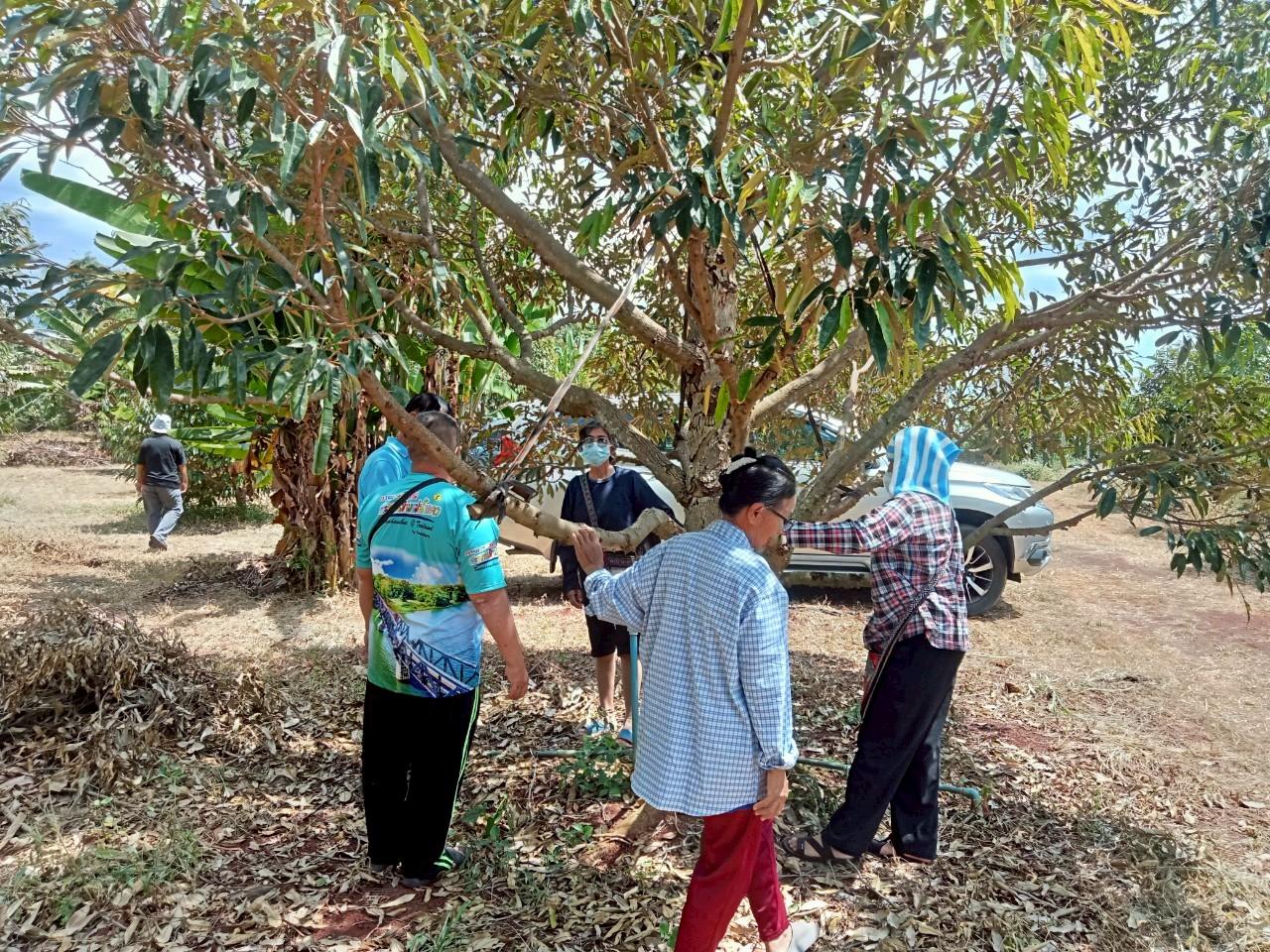 ภาพประกอบที่ 6