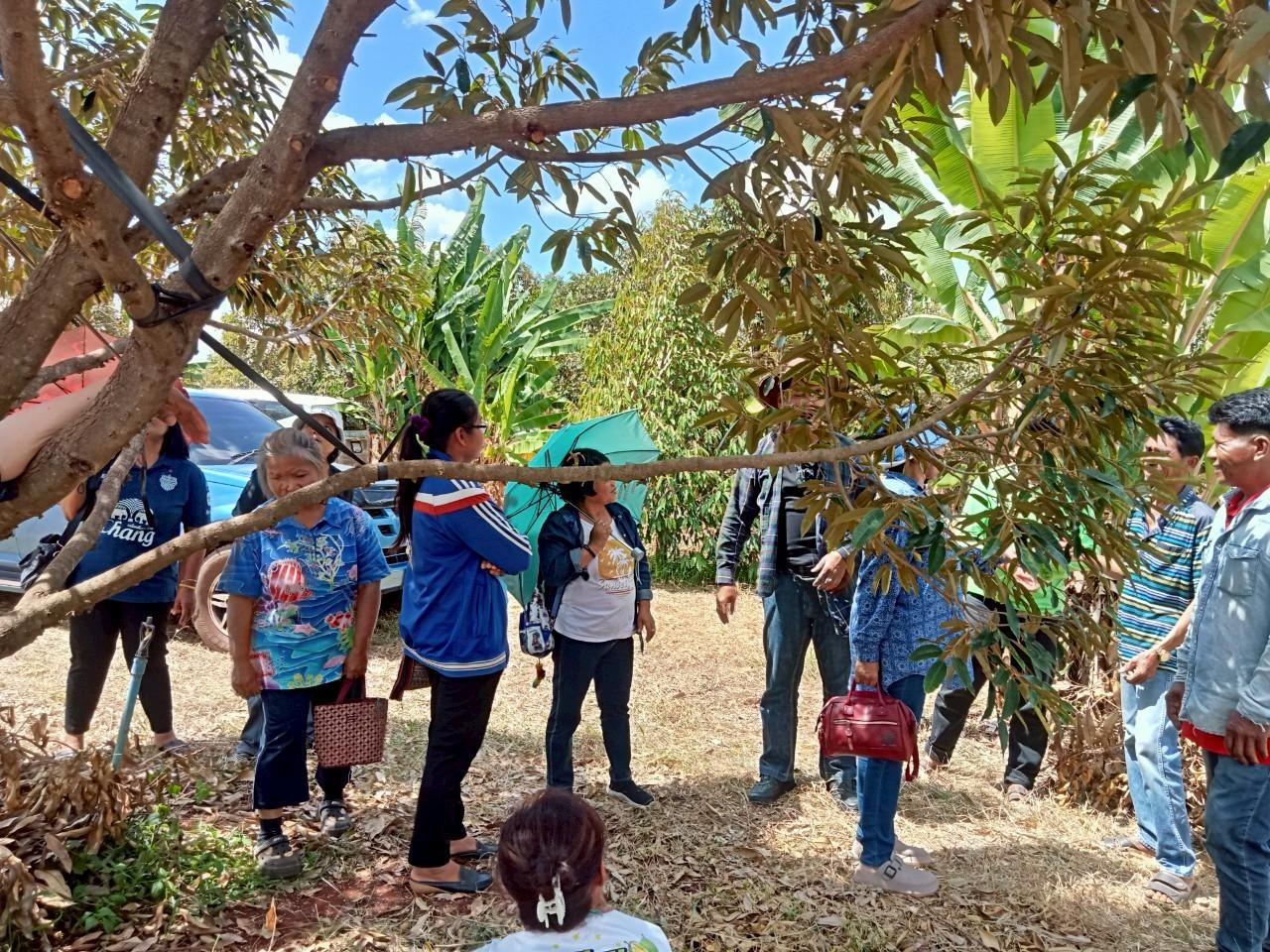 ภาพประกอบที่ 7