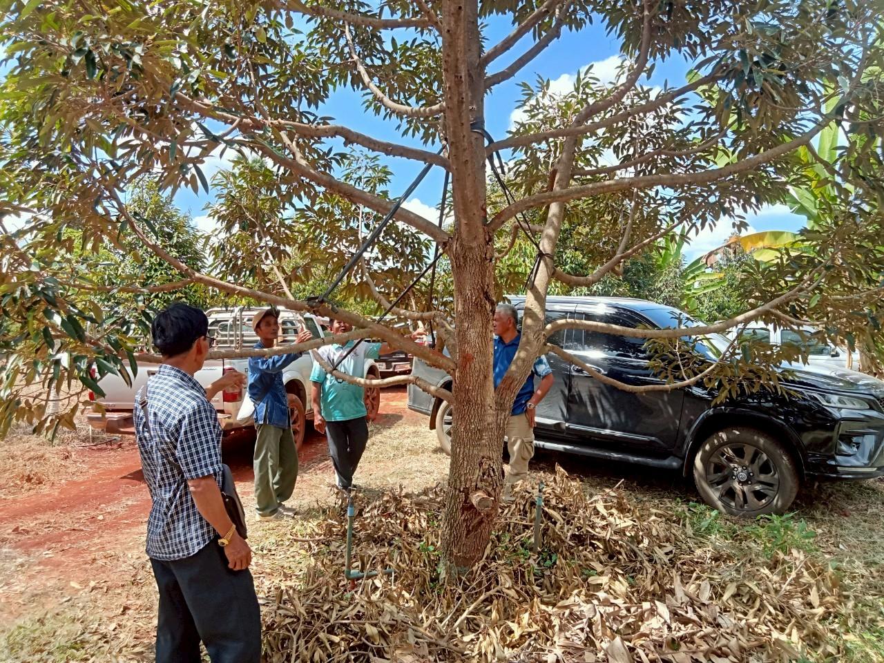 ภาพประกอบที่ 9