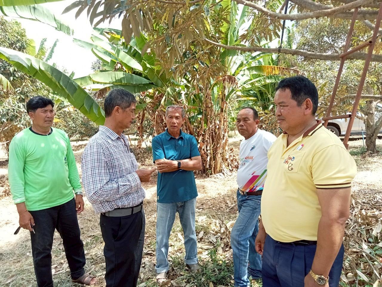 ภาพประกอบที่ 10