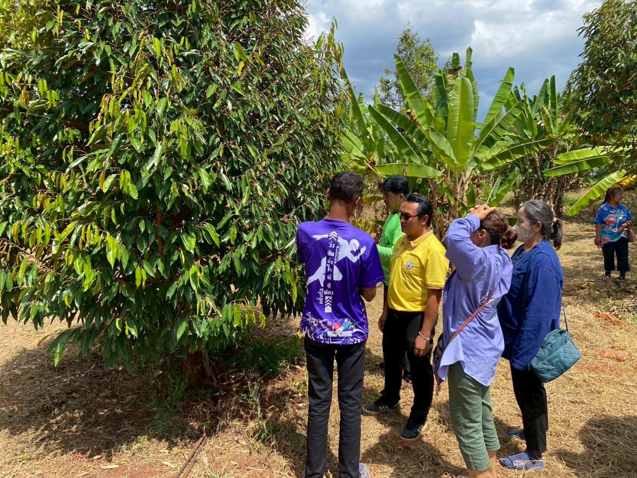 ภาพประกอบที่ 12