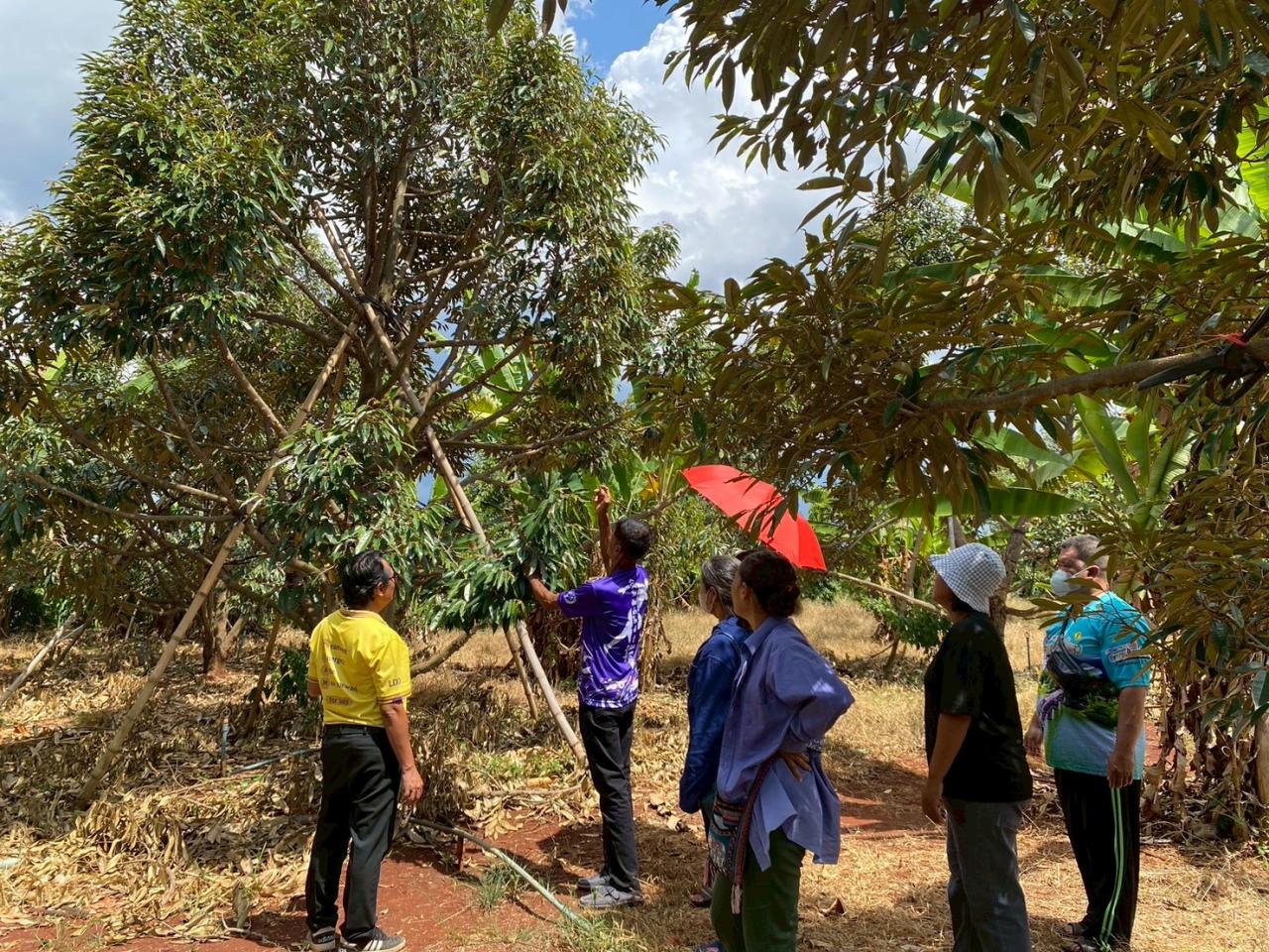 ภาพประกอบที่ 13