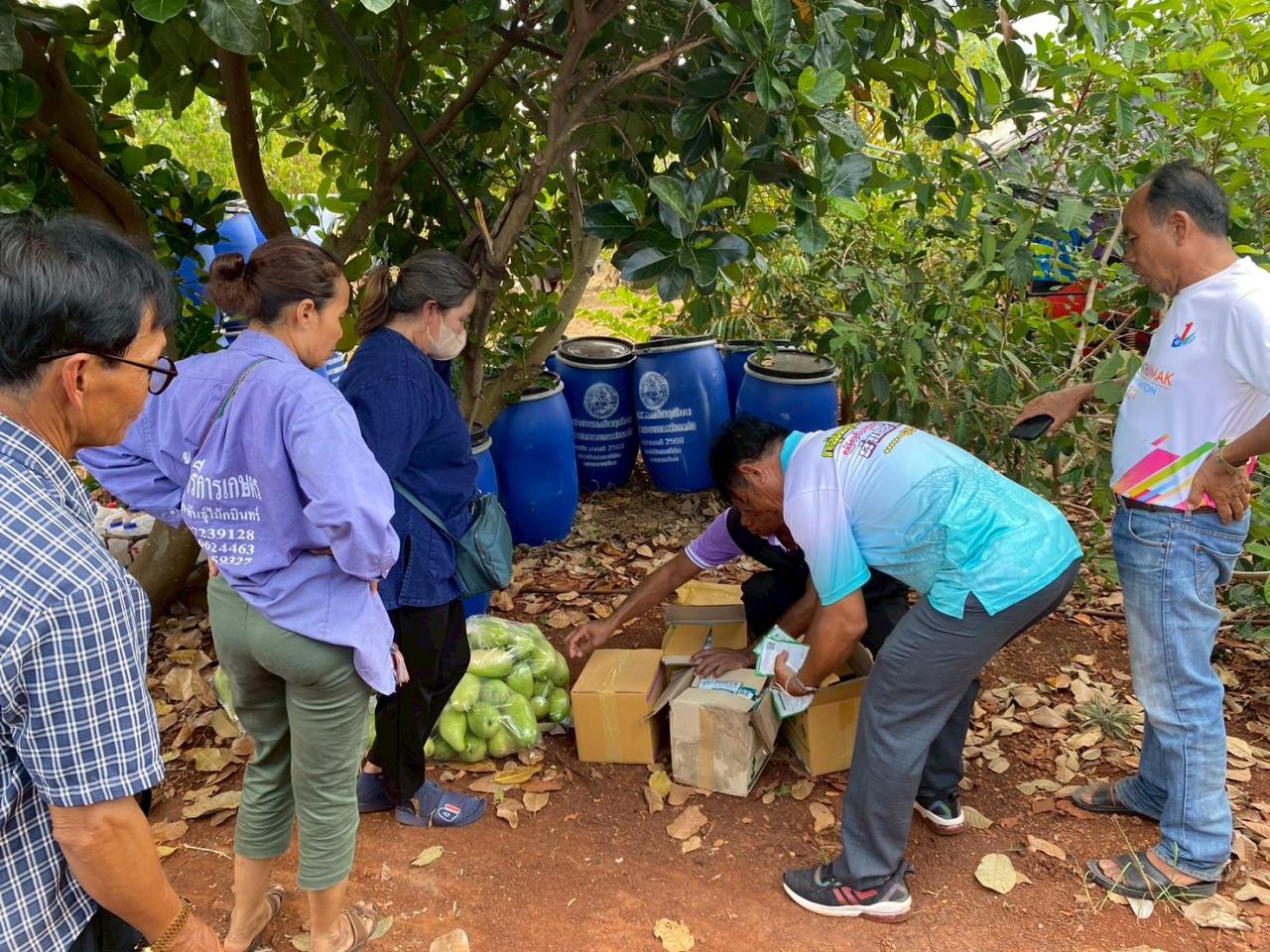 ภาพประกอบที่ 15