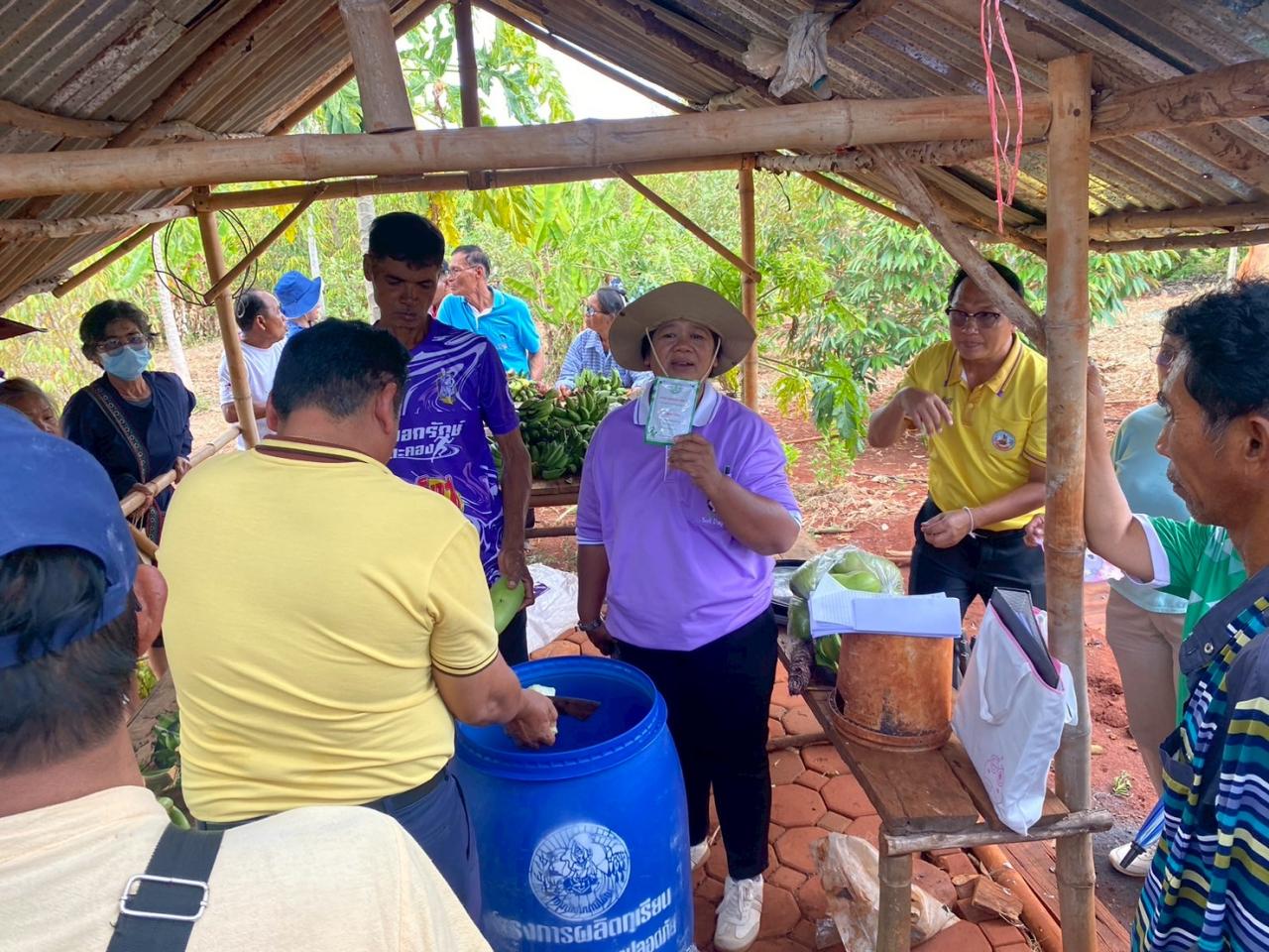 ภาพประกอบที่ 17