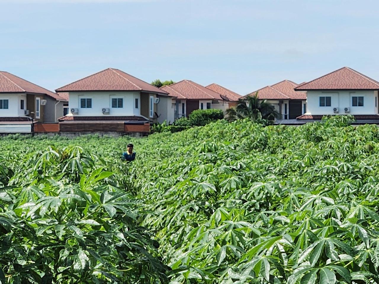 ภาพประกอบที่ 4