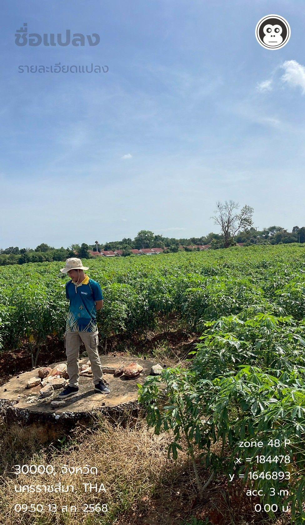 ภาพประกอบที่ 5