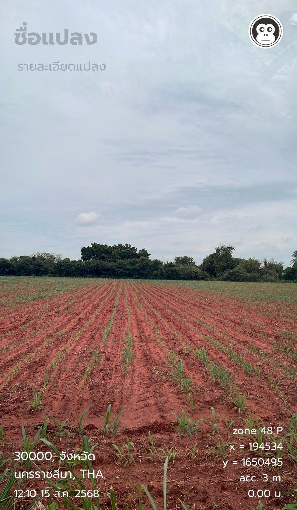 ภาพประกอบที่ 11