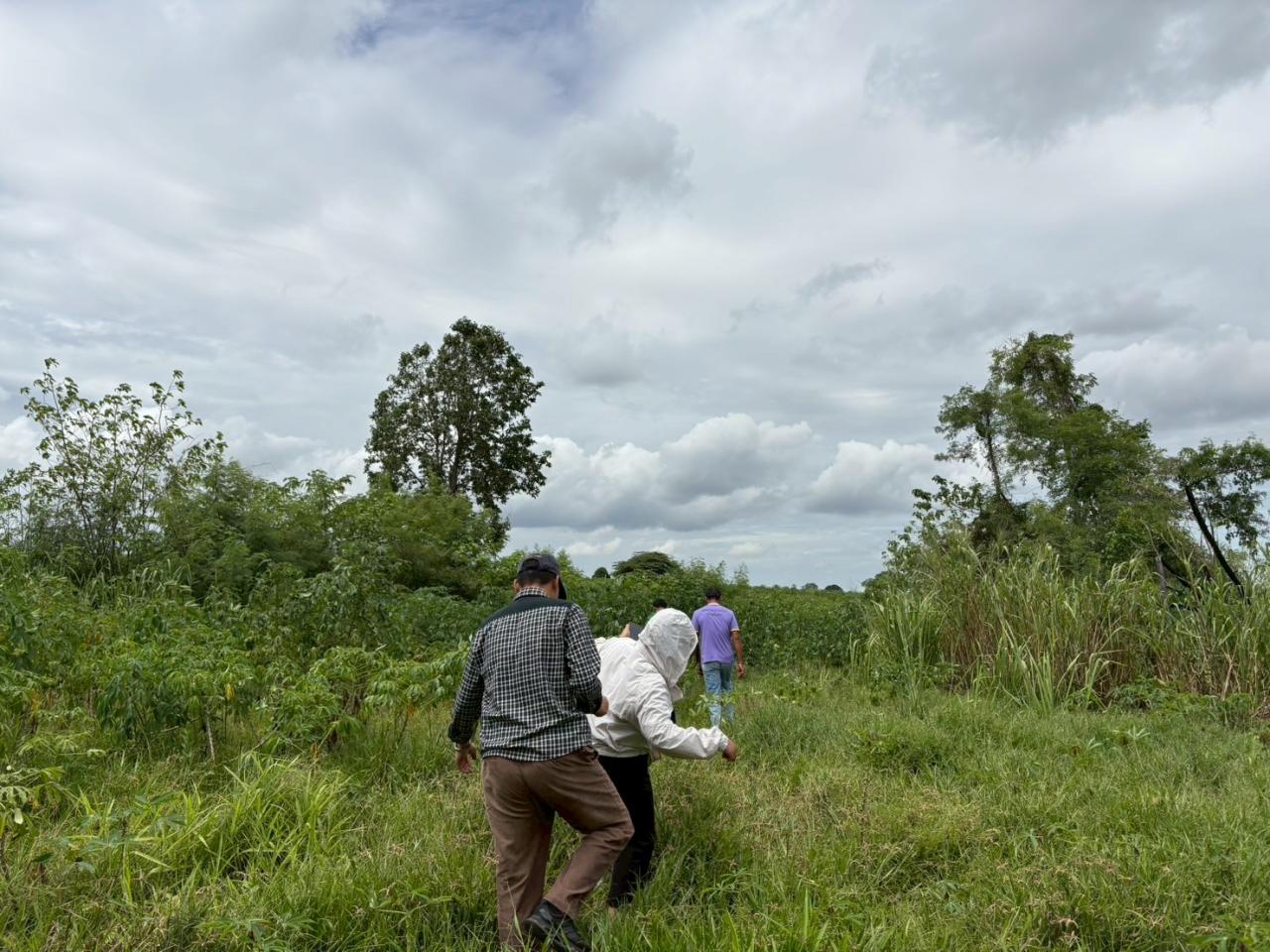 ภาพประกอบที่ 1