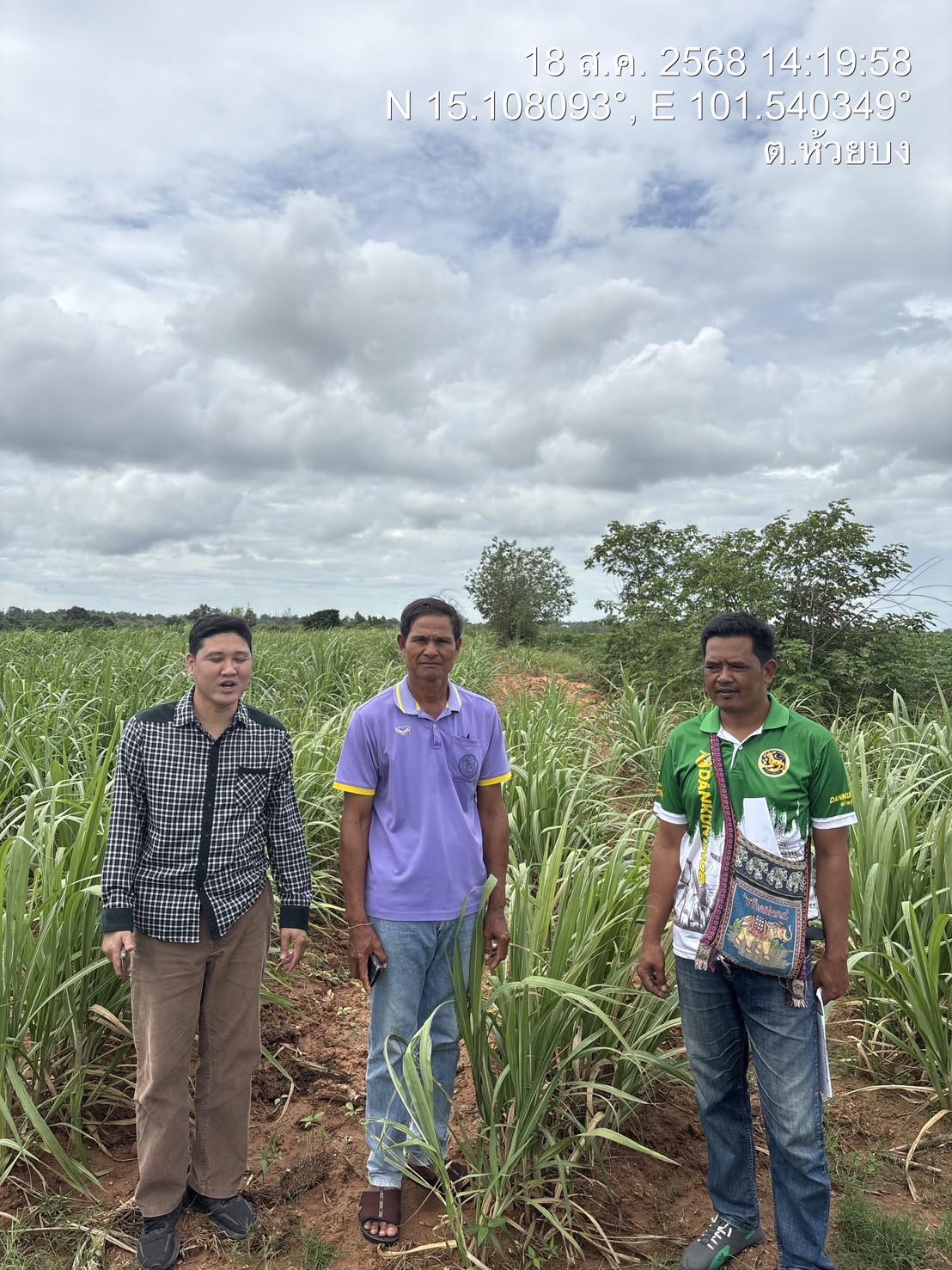 ภาพประกอบที่ 3